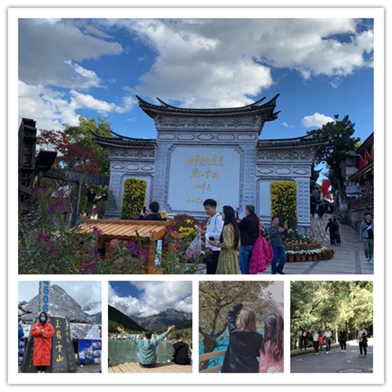 香港全年最全免费资料大全_副本