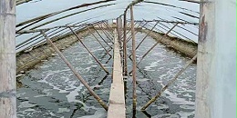 水产养殖中常见的那些增氧方式！