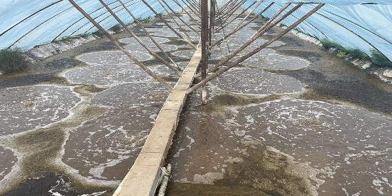 微信图片_20221027095602